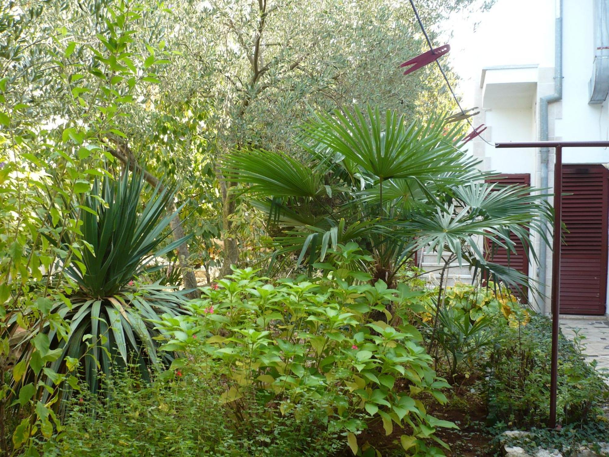 Apartments Finida Poreč Exterior foto